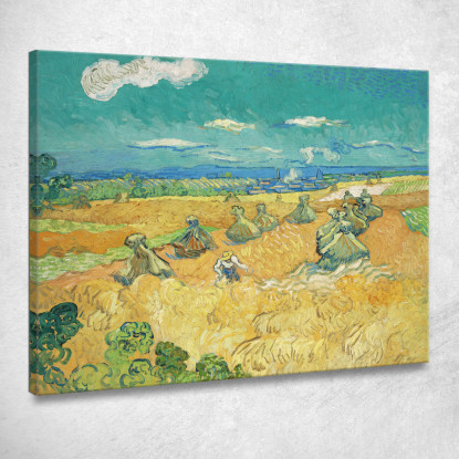 Campi Di Grano Con Reaper Auvers Vincent van Gogh vvg107 quadro stampato su tela