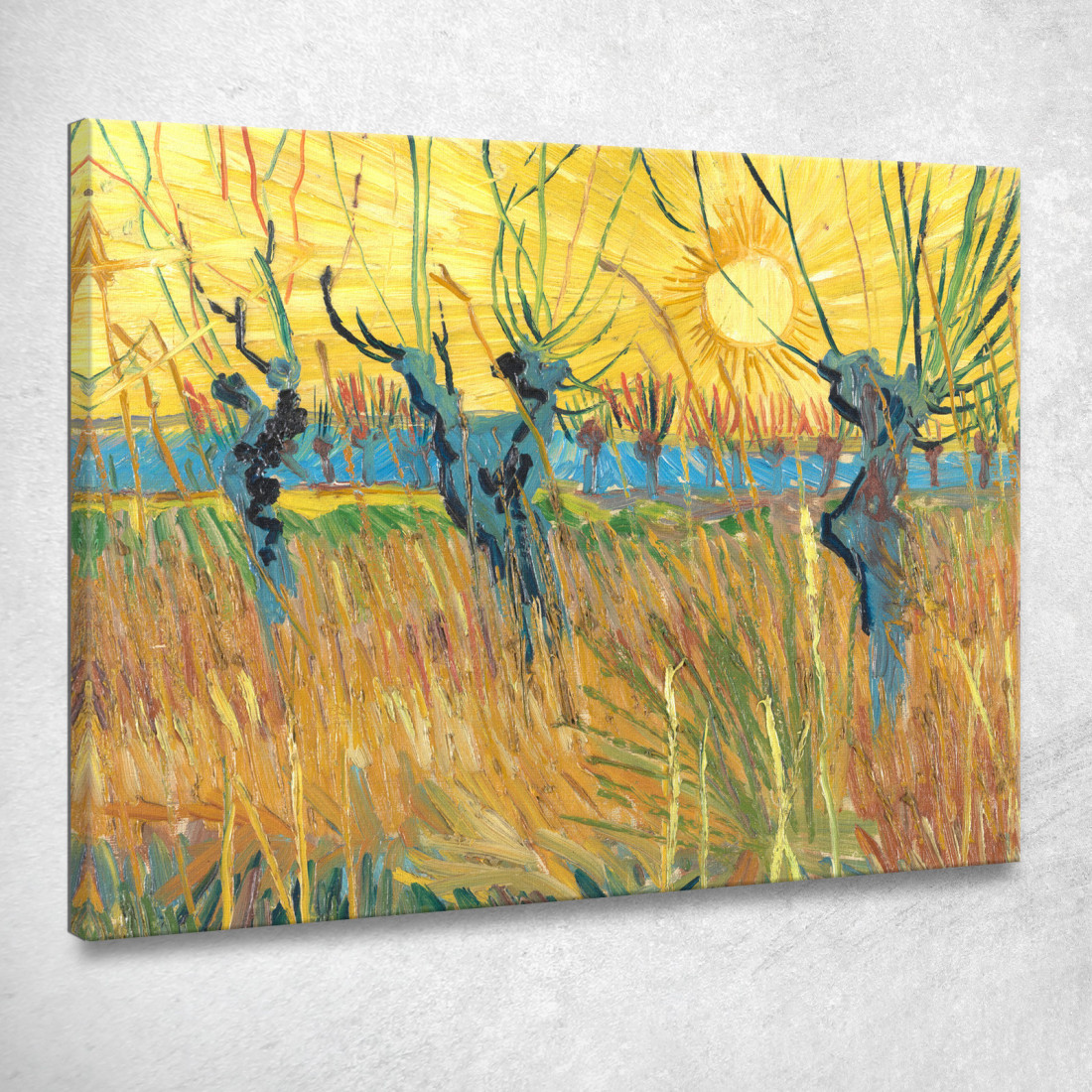 Pollard Salici Al Tramonto Vincent van Gogh vvg152 quadro stampato su tela