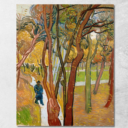 Il Giardino Dell'Ospedale Saint Paul Vincent van Gogh vvg168 quadro stampato su tela