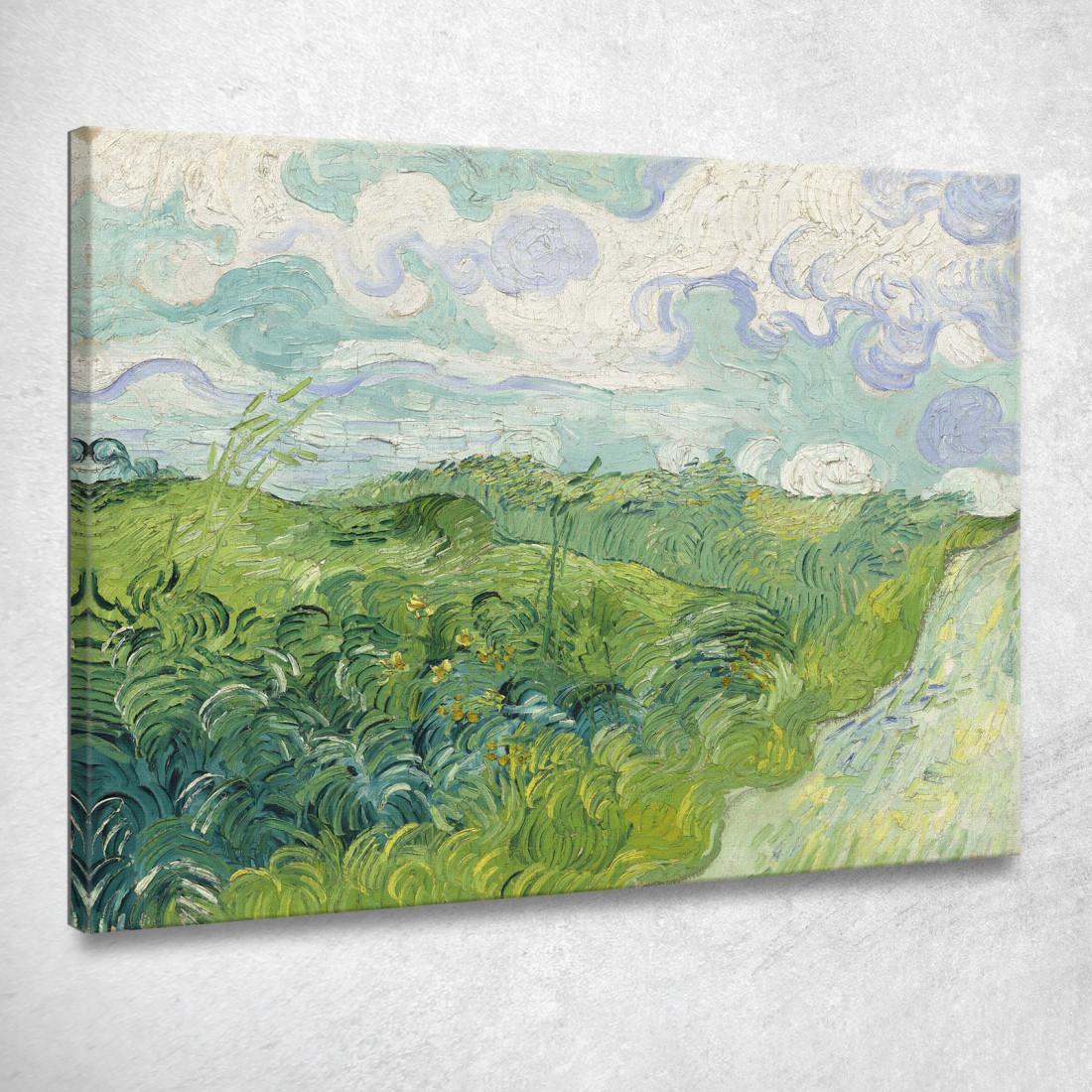 Campi Di Grano Verde Auvers Vincent van Gogh vvg218 quadro stampato su tela