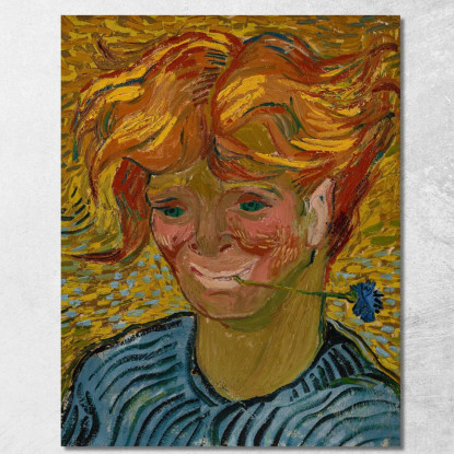 Giovane Con Fiordaliso Vincent van Gogh vvg228 quadro stampato su tela