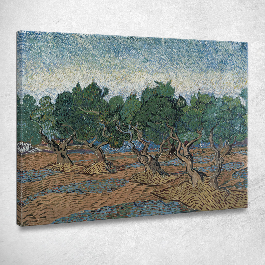 Uliveto Vincent van Gogh vvg246 quadro stampato su tela