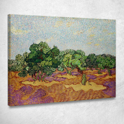 Olivi 2 Vincent van Gogh vvg248 quadro stampato su tela