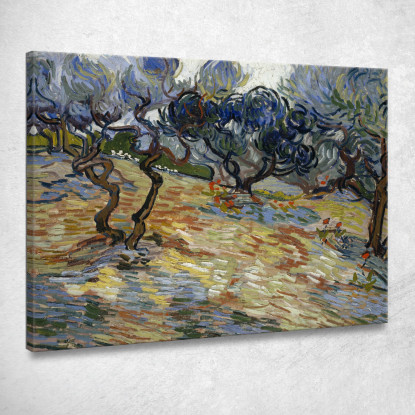 Olivi 3 Vincent van Gogh vvg249 quadro stampato su tela