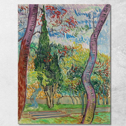 Parco Dell'Ospedale Saint-Paul Vincent van Gogh vvg252 quadro stampato su tela