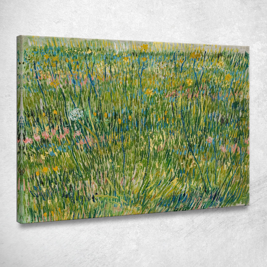 Pezza D'Erba Vincent van Gogh vvg253 quadro stampato su tela