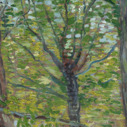 Alberi Vincent van Gogh vvg303 quadro stampato su tela