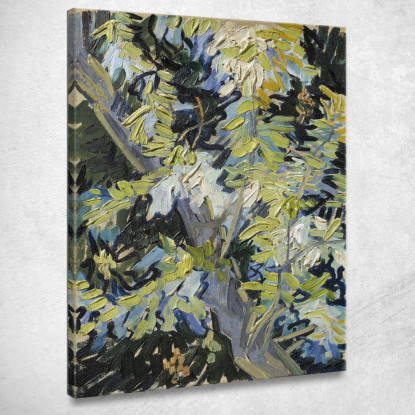 Rami Di Acacia In Fiore Vincent van Gogh vvg317 quadro stampato su tela