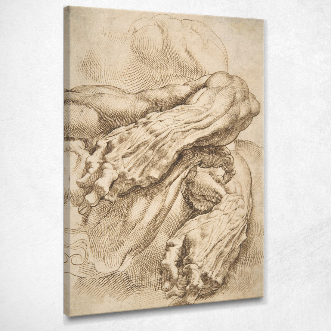 Studi Anatomici Un Avambraccio Sinistro In Due Posizioni E Un Avambraccio Destro Peter Paul Rubens ppr26 quadro stampato su tela Studi Anatomici Un Avambraccio Sinistro In Due Posizioni E Un Avambraccio Destro Peter Paul Rubens ppr26 quadro stampato su tela