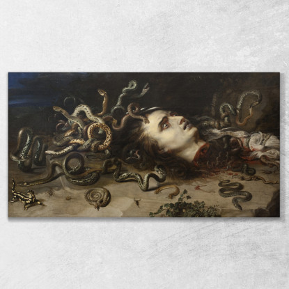 Testa Di Medusa Peter Paul Rubens ppr84 quadro stampato su tela