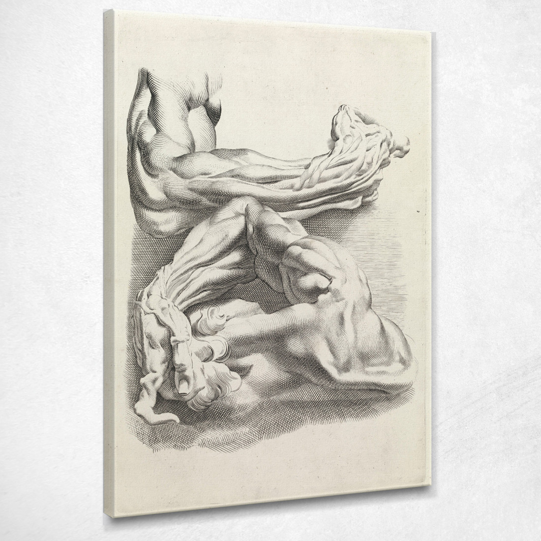 Muscoli Peter Paul Rubens ppr118 quadro stampato su tela Muscoli Peter Paul Rubens ppr118 quadro stampato su tela