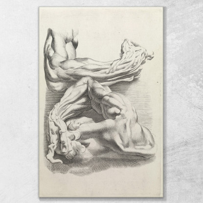 Muscoli Peter Paul Rubens ppr118 quadro stampato su tela