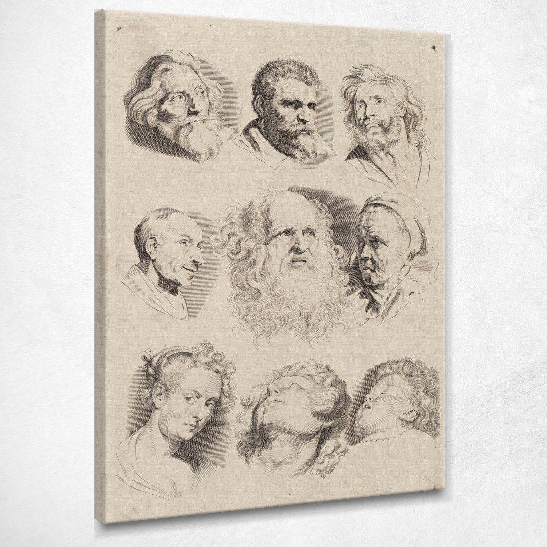 Studio Delle Teste 4 Peter Paul Rubens ppr194 quadro stampato su tela Studio Delle Teste 4 Peter Paul Rubens ppr194 quadro stampato su tela