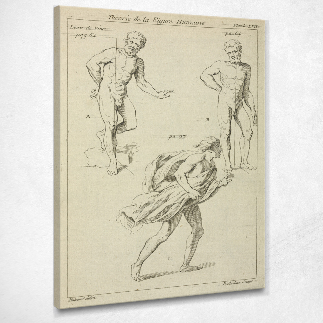 Tre Studi Di Figura Peter Paul Rubens ppr303 quadro stampato su tela Tre Studi Di Figura Peter Paul Rubens ppr303 quadro stampato su tela