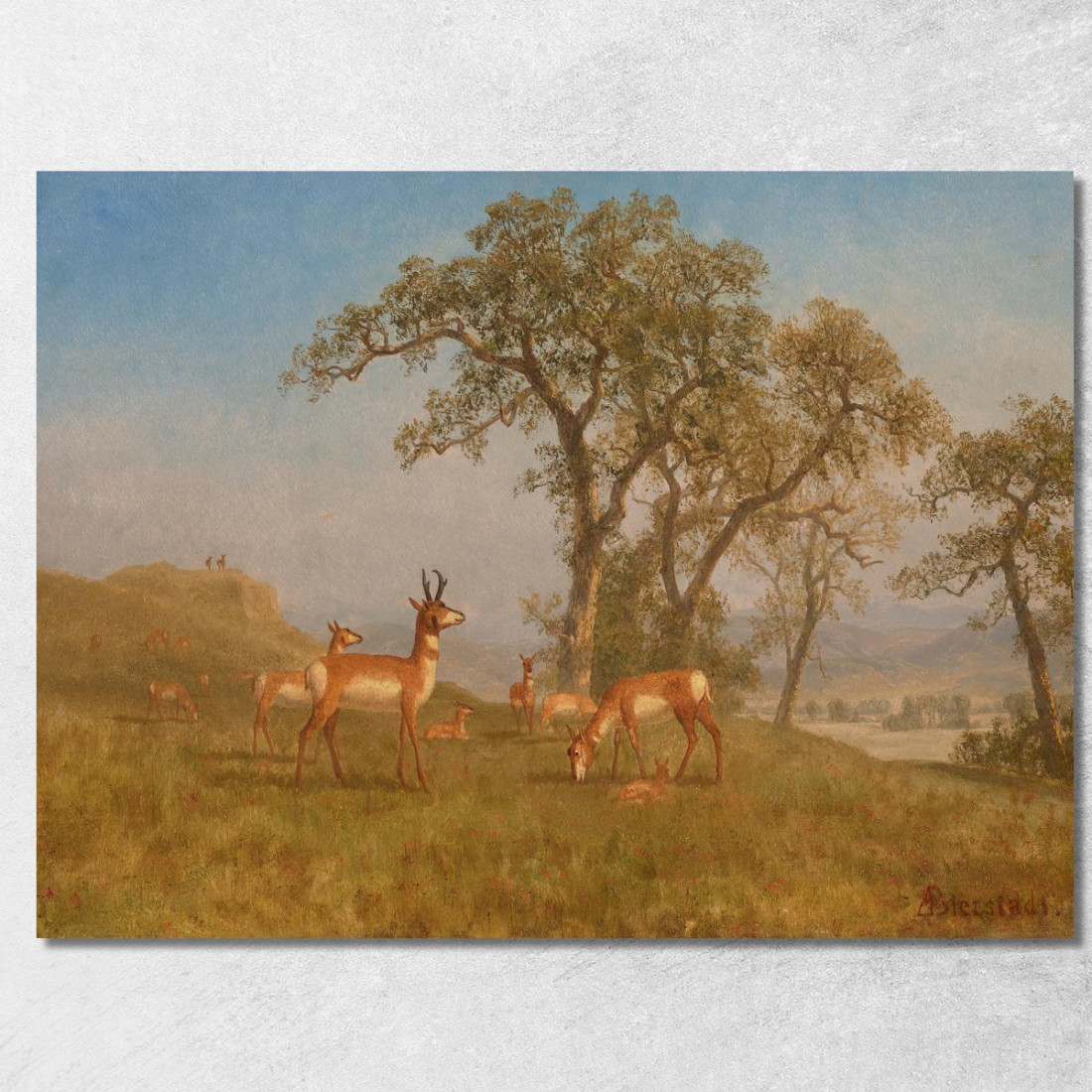 Antilope Al Pascolo Albert Bierstadt abr30 quadro stampato su tela Antilope Al Pascolo Albert Bierstadt abr30 quadro stampato su tela