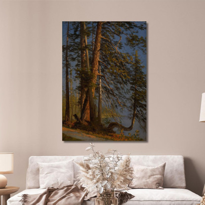 Parcheggiare A Vancouver Albert Bierstadt abr80 quadro stampato su tela