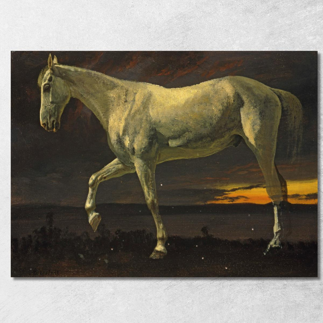 Cavallo Bianco E Tramonto Albert Bierstadt abr129 quadro stampato su tela Cavallo Bianco E Tramonto Albert Bierstadt abr129 quadro stampato su tela