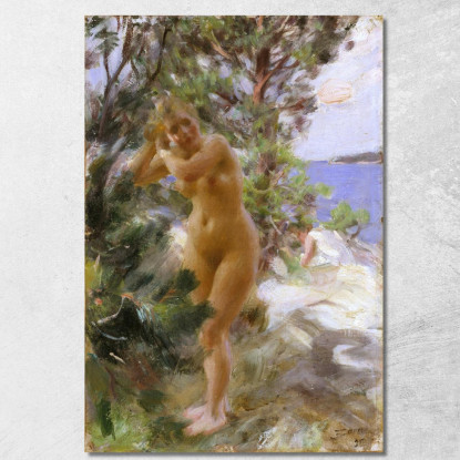 Dopo Il Bagno Anders Zorn azn2 quadro stampato su tela