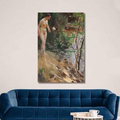 Modello A Riva Anders Zorn azn45 quadro stampato su tela