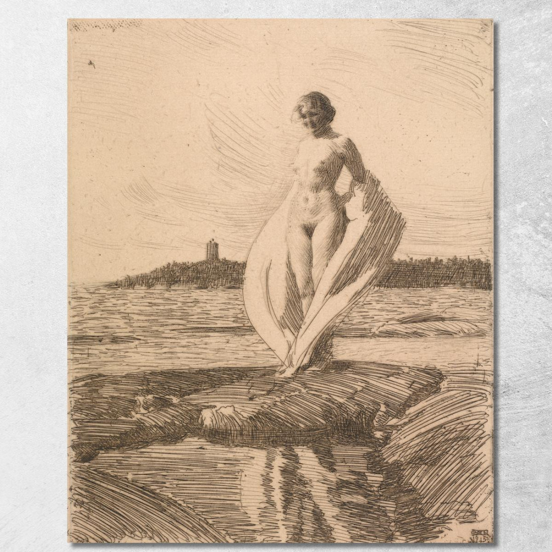 Il Cigno Anders Zorn azn75 quadro stampato su tela Il Cigno Anders Zorn azn75 quadro stampato su tela
