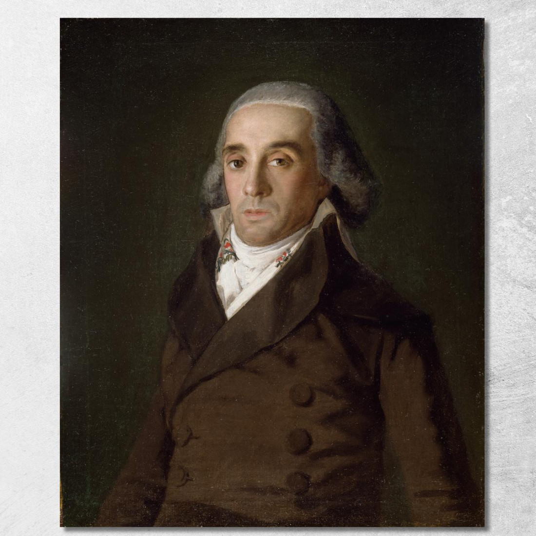 Il Conte Del Tago Francisco de Goya fgy15 quadro stampato su tela Il Conte Del Tago Francisco de Goya fgy15 quadro stampato su tela