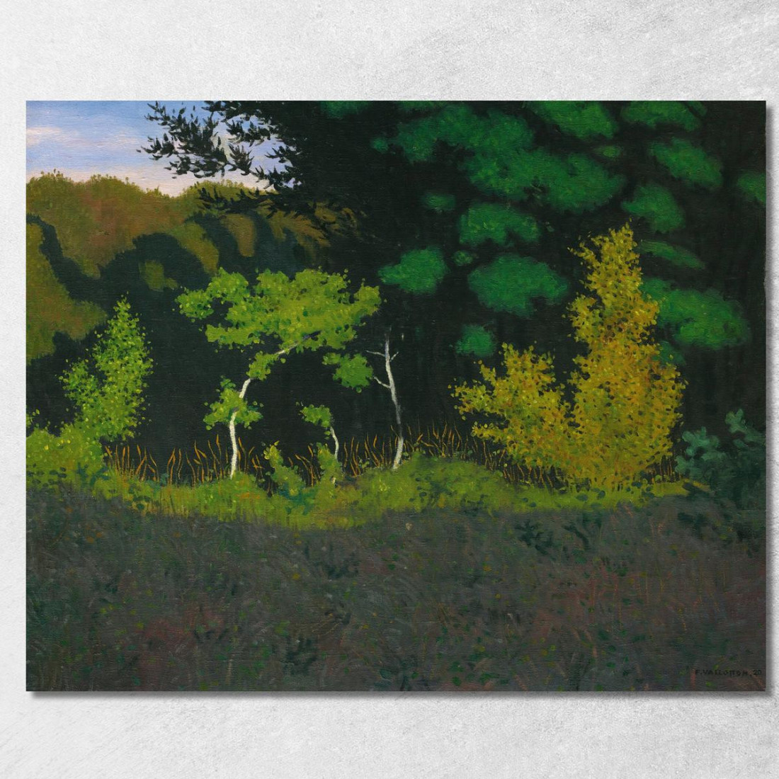Bordo Del Legno Félix Vallotton fvl14 quadro stampato su tela Bordo Del Legno Félix Vallotton fvl14 quadro stampato su tela