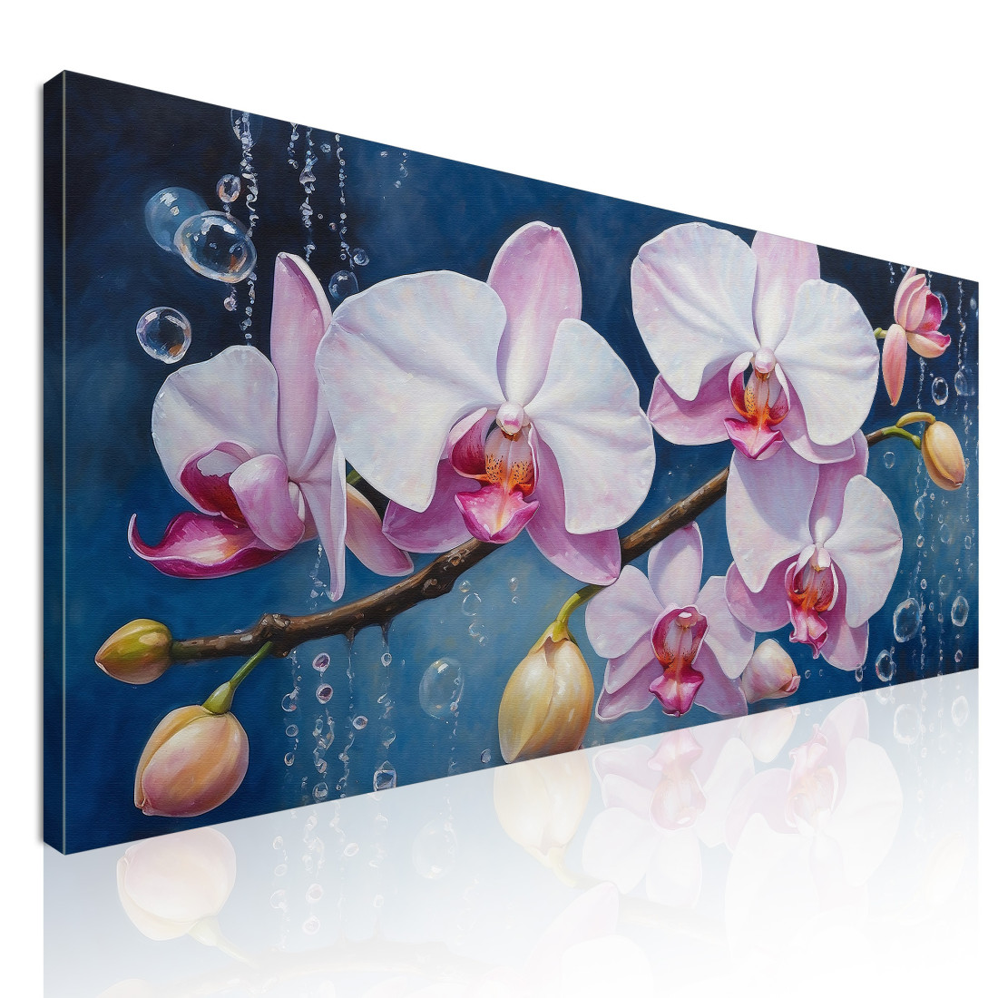 Quadro Botanico Orchidee Bianche E Rosa Con Bolle Su Sfondo Blu bow23 quadro stampato su tela