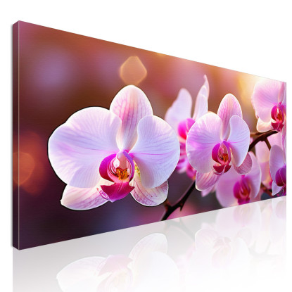 Quadro Botanico Orchidee Rosa Illuminate Al Tramonto bow26 quadro stampato su tela