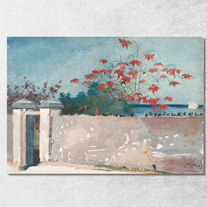 Un Muro Di Nassau Winslow Homer quadro stampato su tela