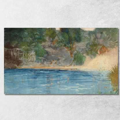 Printemps Bleu Floride Winslow Homer tableau impression sur toile