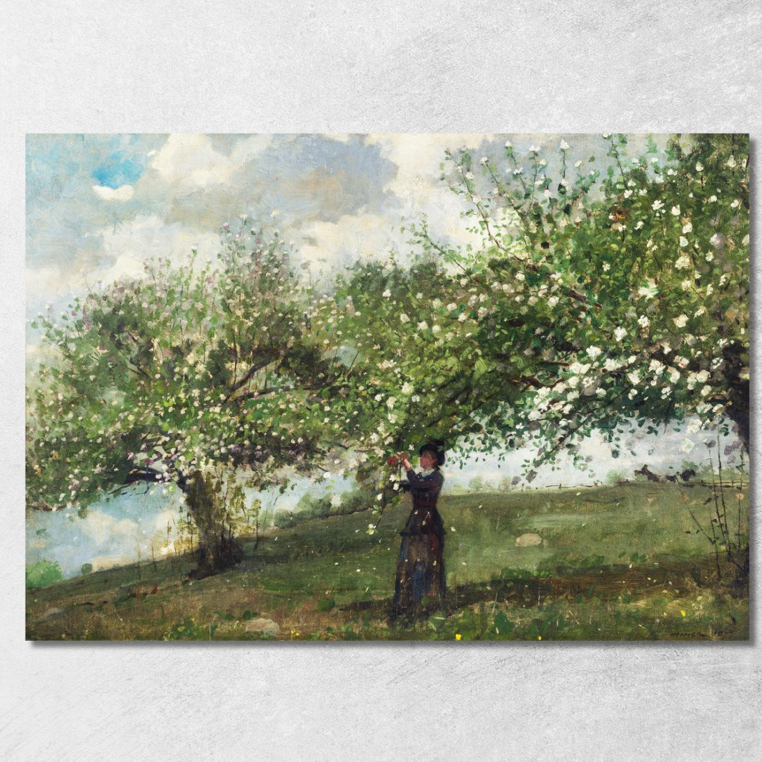 Ragazza Che Raccoglie Fiori Di Melo Winslow Homer quadro stampato su tela Ragazza Che Raccoglie Fiori Di Melo Winslow Homer quadro stampato su tela