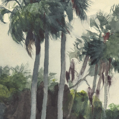 Camisa Roja Homosassa Florida Winslow Homer cuadro en lienzo