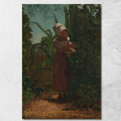 The Bean Picker Winslow Homer canvas print