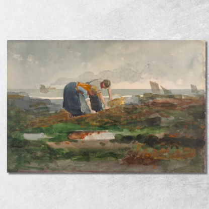 Die Muschelsammler Winslow Homer drucken auf leinwand