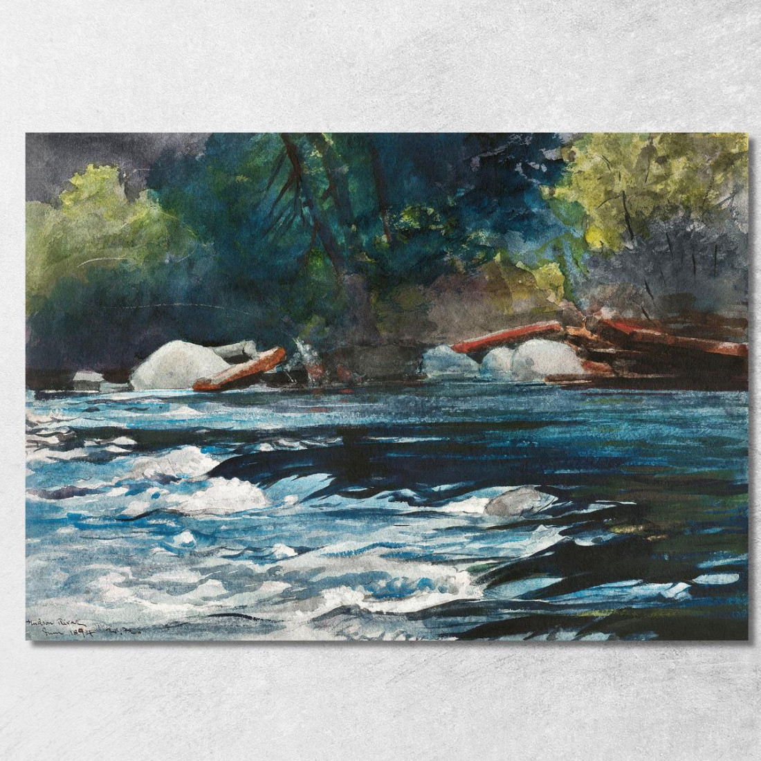 Le Rapide Del Fiume Hudson Adirondacks Winslow Homer quadro stampato su tela