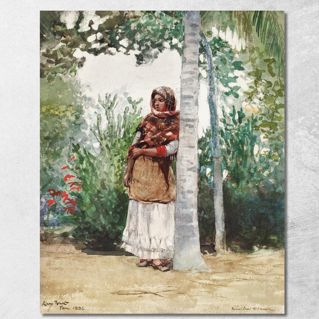 Debajo De Una Palmera Winslow Homer cuadro en lienzo Debajo De Una Palmera Winslow Homer cuadro en lienzo