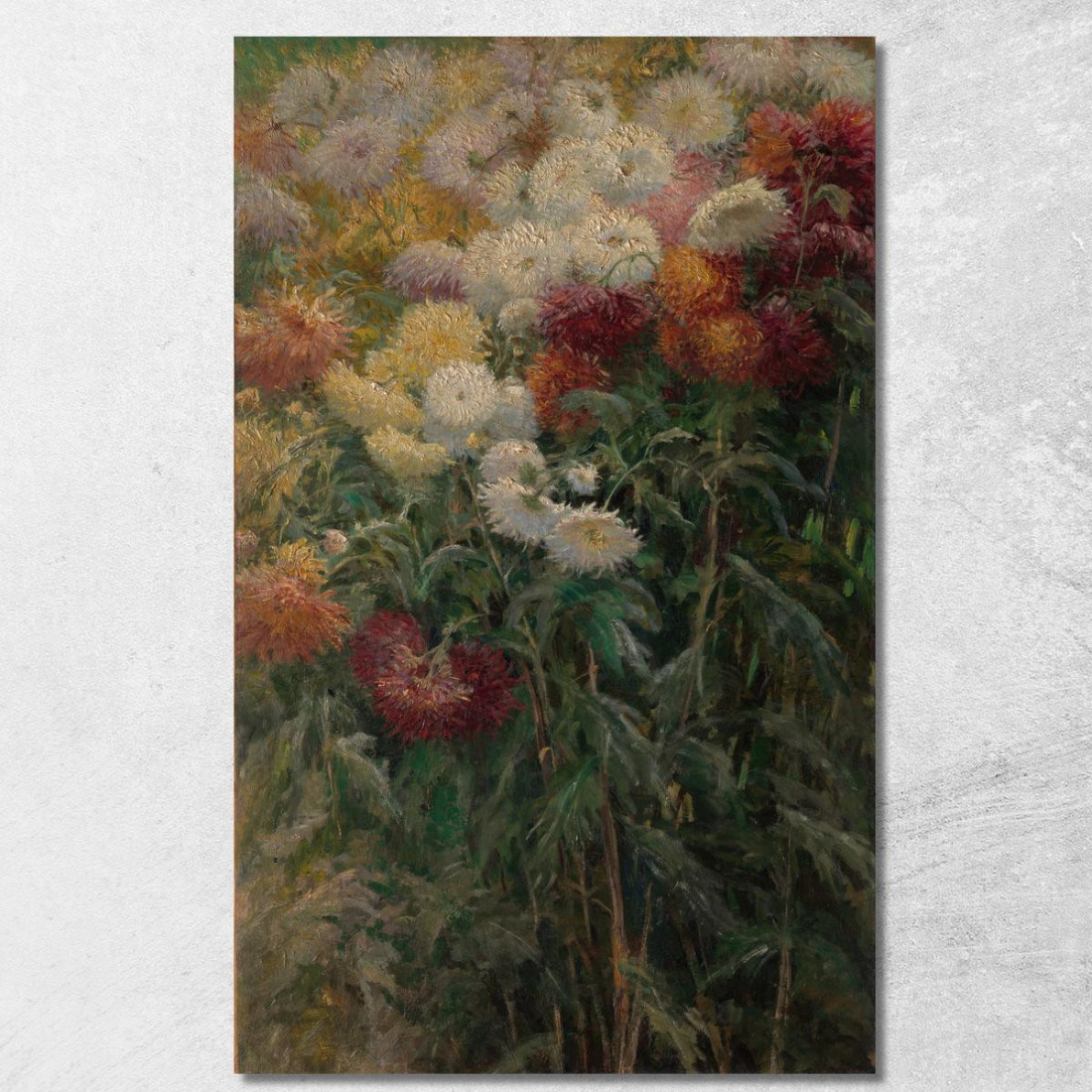 Crisantemi Nel Giardino Di Petit-Gennevilliers Gustave Caillebotte gcl4 quadro stampato su tela Crisantemi Nel Giardino Di Petit-Gennevilliers Gustave Caillebotte gcl4 quadro stampato su tela