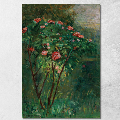 Il Cespuglio Di Rose In Fiore Gustave Caillebotte gcl14 quadro stampato su tela