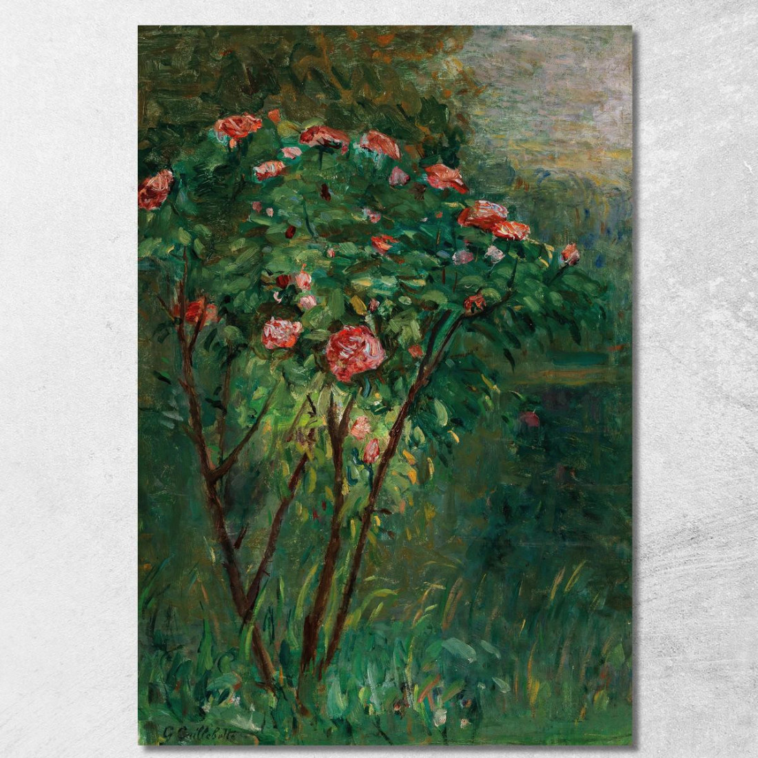 Il Cespuglio Di Rose In Fiore Gustave Caillebotte gcl14 quadro stampato su tela Il Cespuglio Di Rose In Fiore Gustave Caillebotte gcl14 quadro stampato su tela