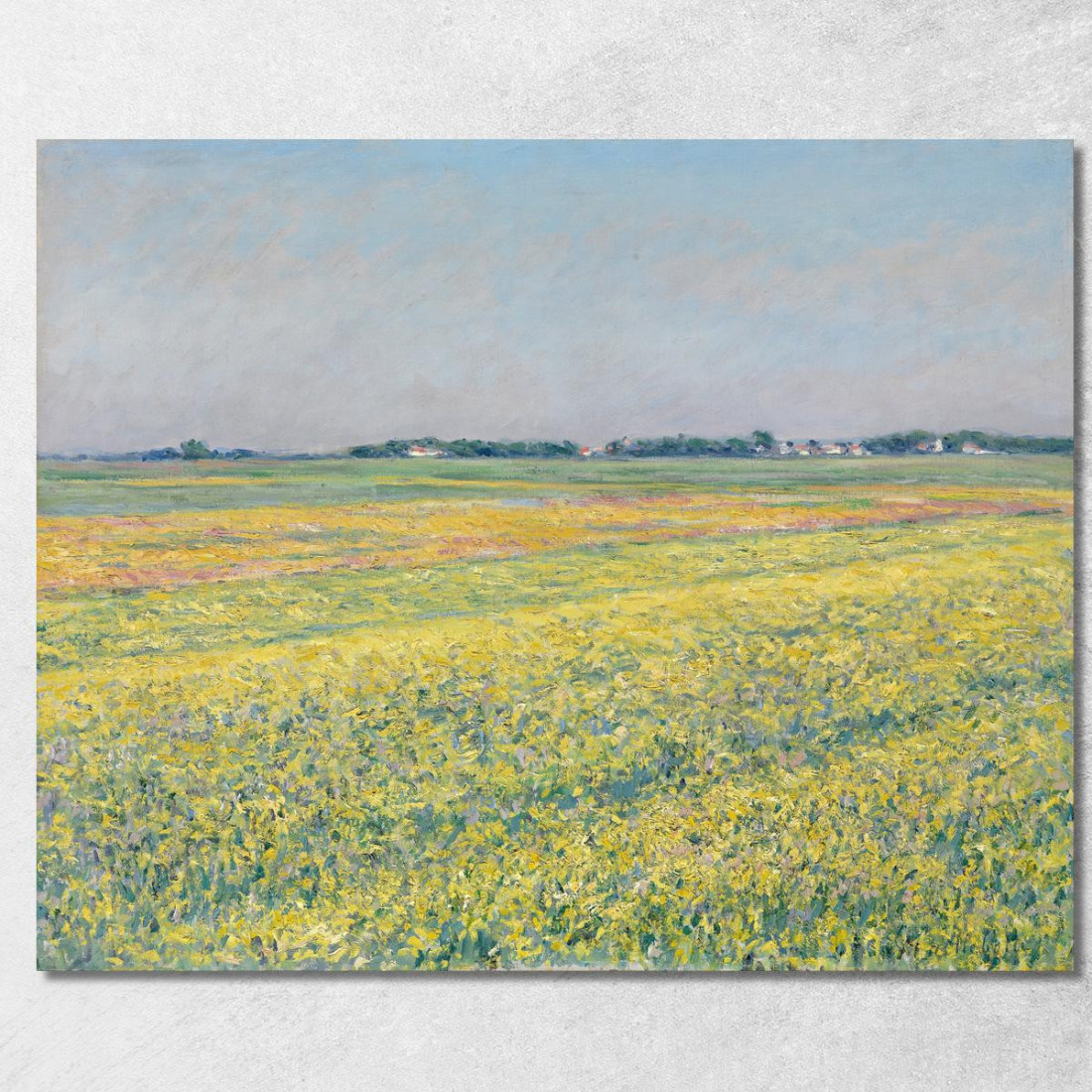 La Pianura Dei Campi Gialli Di Gennevilliers Gustave Caillebotte gcl30 quadro stampato su tela La Pianura Dei Campi Gialli Di Gennevilliers Gustave Caillebotte gcl30 quadro stampato su tela
