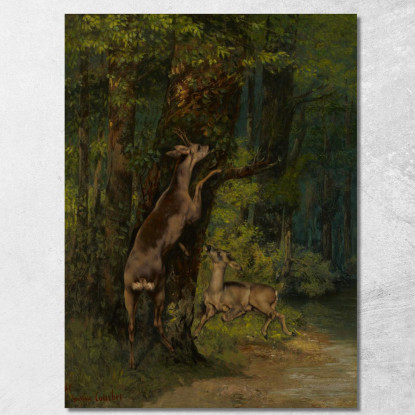 Cervi Nella Foresta Gustave Courbet cg59 quadro stampato su tela