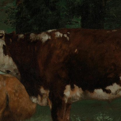 Due Mucche Marroni Gustave Courbet cg64 quadro stampato su tela