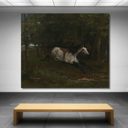 Attraverso Il Cavallo Gustave Courbet cg66 quadro stampato su tela
