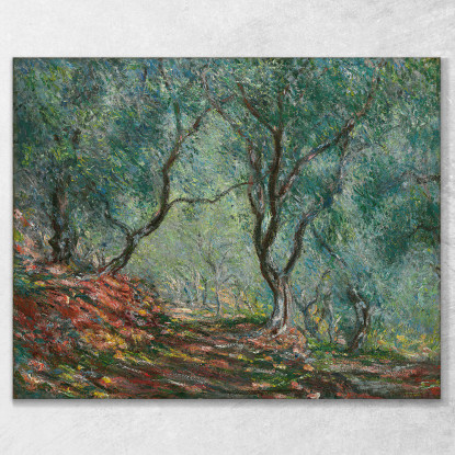 Boschi Di Ulivi Nel Giardino Moreno Claude Monet mnt198 quadro stampato su tela