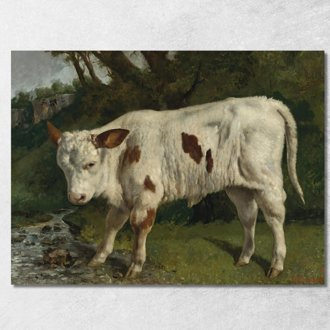 Il Vitello Bianco Gustave Courbet cg102 quadro stampato su tela Il Vitello Bianco Gustave Courbet cg102 quadro stampato su tela