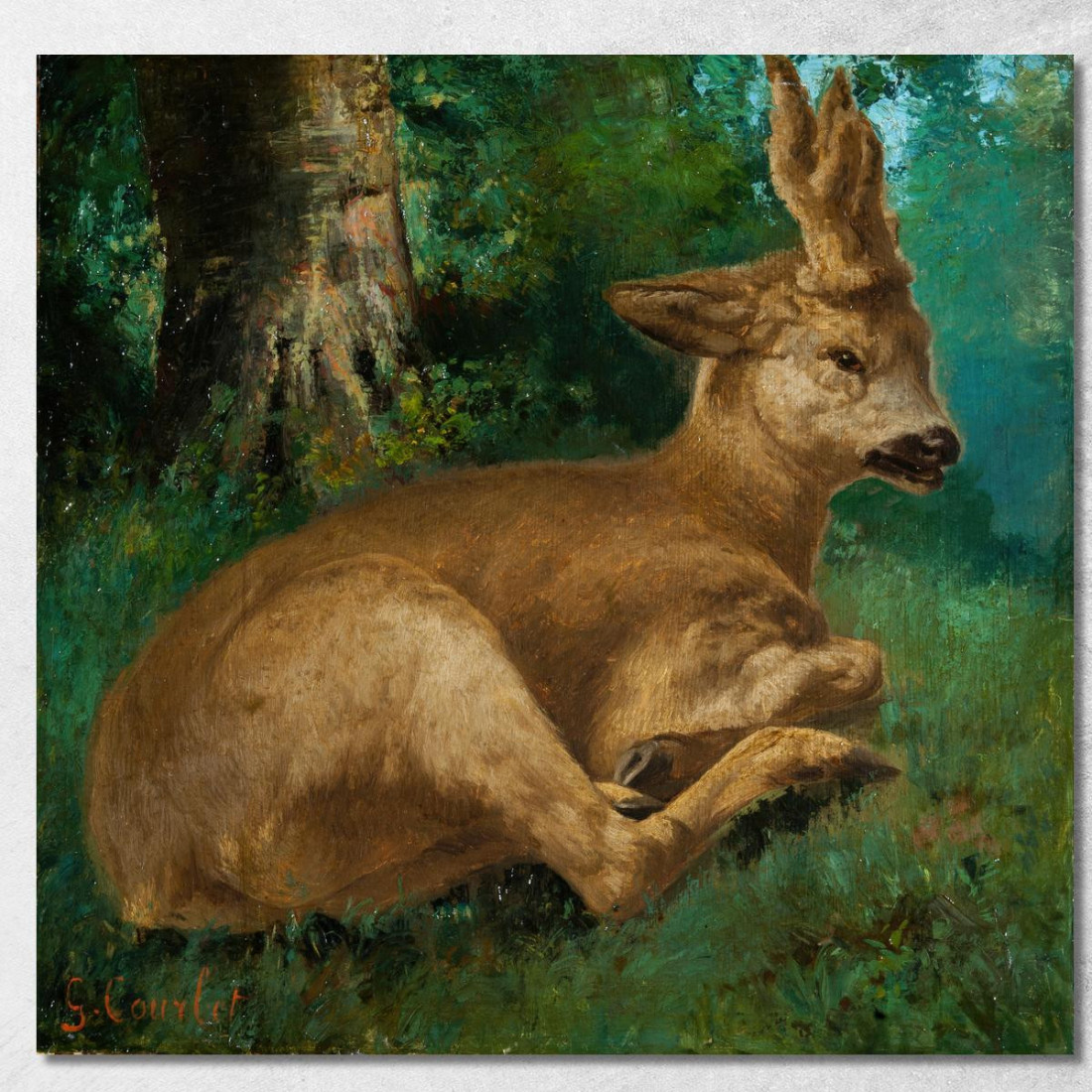 Capriolo Gustave Courbet cg149 quadro stampato su tela Capriolo Gustave Courbet cg149 quadro stampato su tela