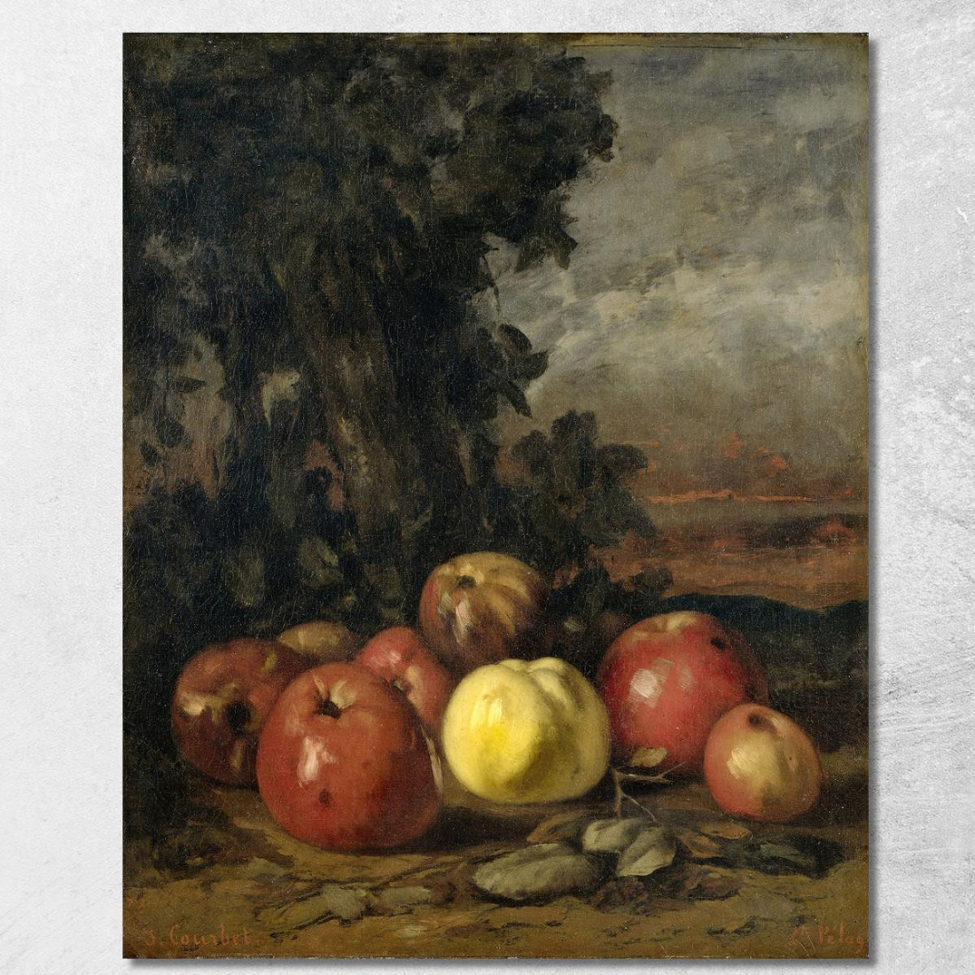 Natura Morta Con Mele Gustave Courbet cg159 quadro stampato su tela Natura Morta Con Mele Gustave Courbet cg159 quadro stampato su tela