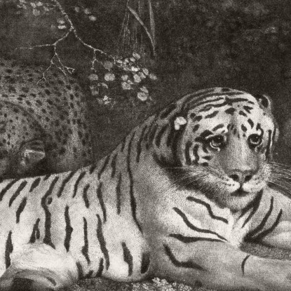 Una Tigre E Un Leopardo Addormentato 1788 George Stubbs gst7 quadro stampato su tela