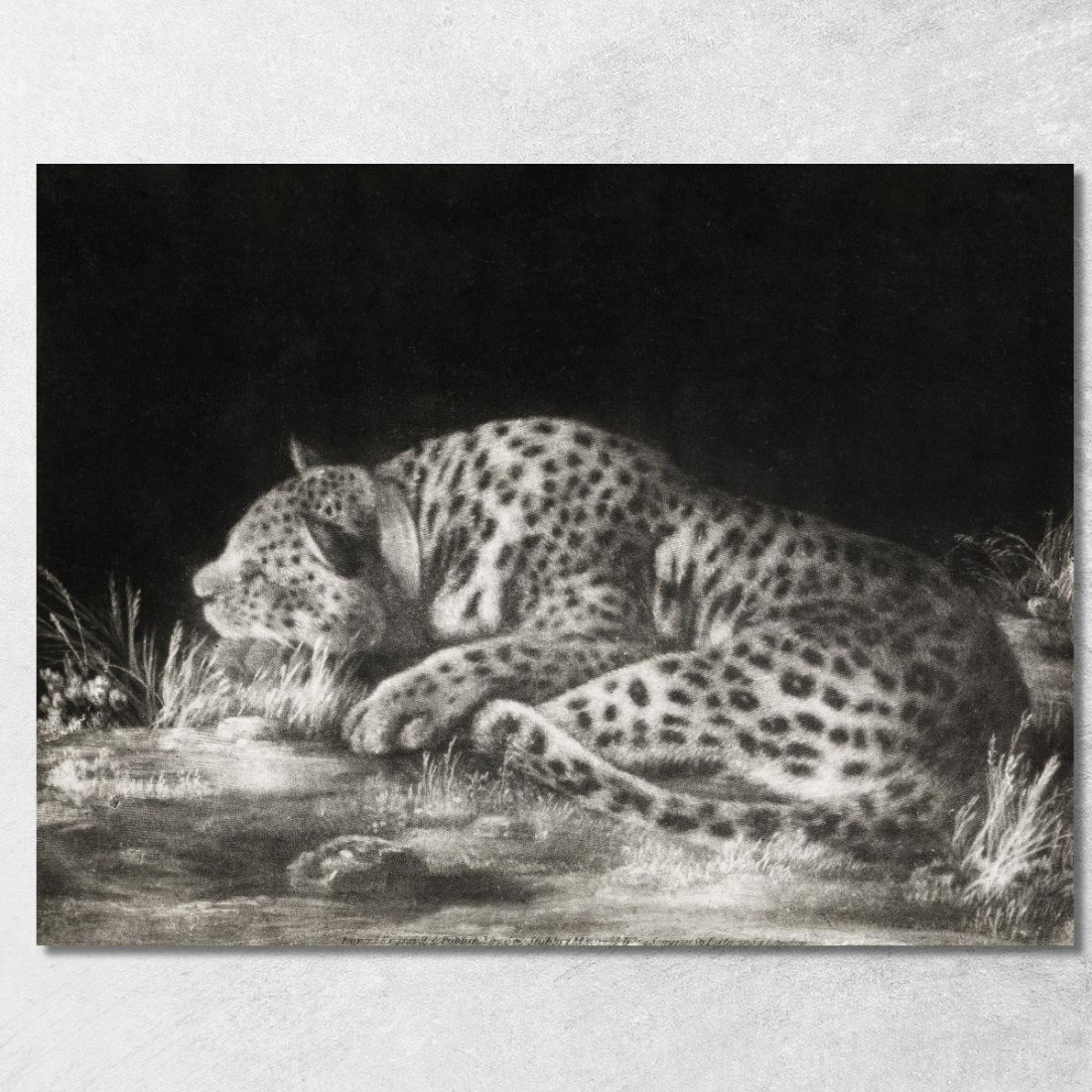 Una Tigre E Un Ghepardo Addormentato 1788 George Stubbs gst8 quadro stampato su tela Una Tigre E Un Ghepardo Addormentato 1788 George Stubbs gst8 quadro stampato su tela