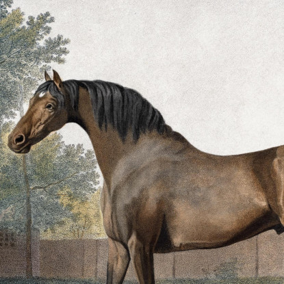 Incudine 1794 George Stubbs gst9 quadro stampato su tela